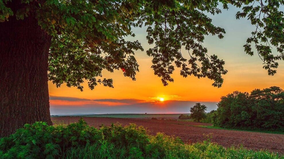 From Digital Nomads to Dirt Roads: Why Remote Workers Are Driving Up Demand for Recreational Land