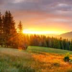 Restricted vs. Unrestricted Land: Making the Right Investment Choice