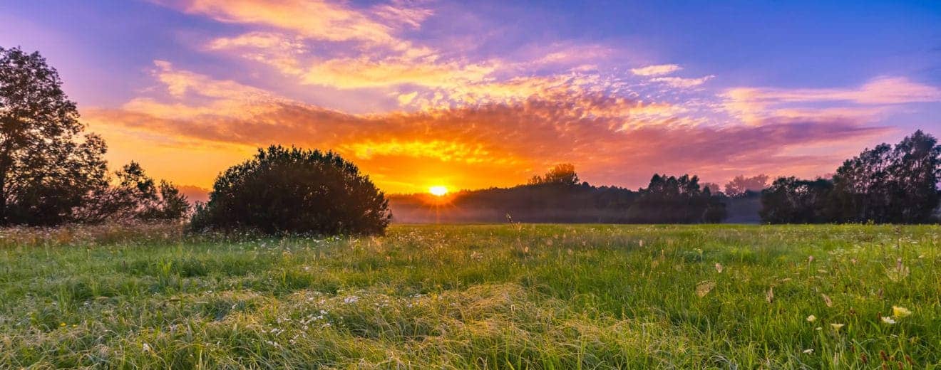 Risks to Owning Rural Land