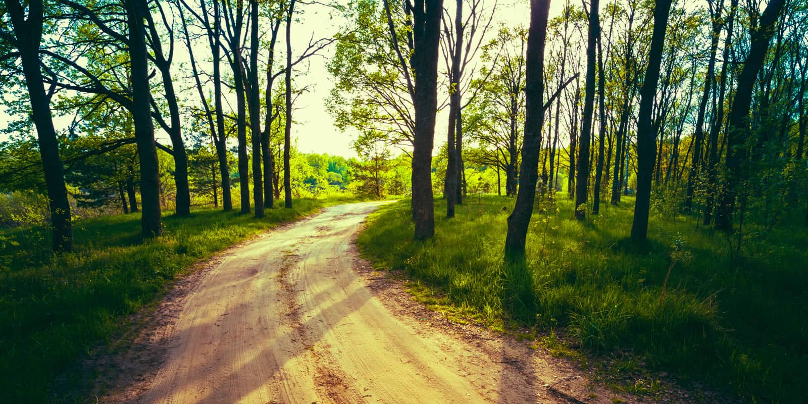 Scenarios for Access on Rural Land LANDTHINK