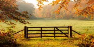 Handling Sellers Who Want to Overprice Their Land