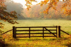Handling Sellers Who Want to Overprice Their Land