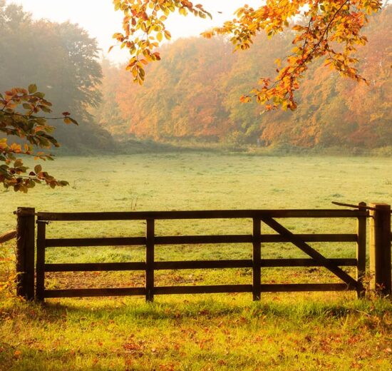 Handling Sellers Who Want to Overprice Their Land