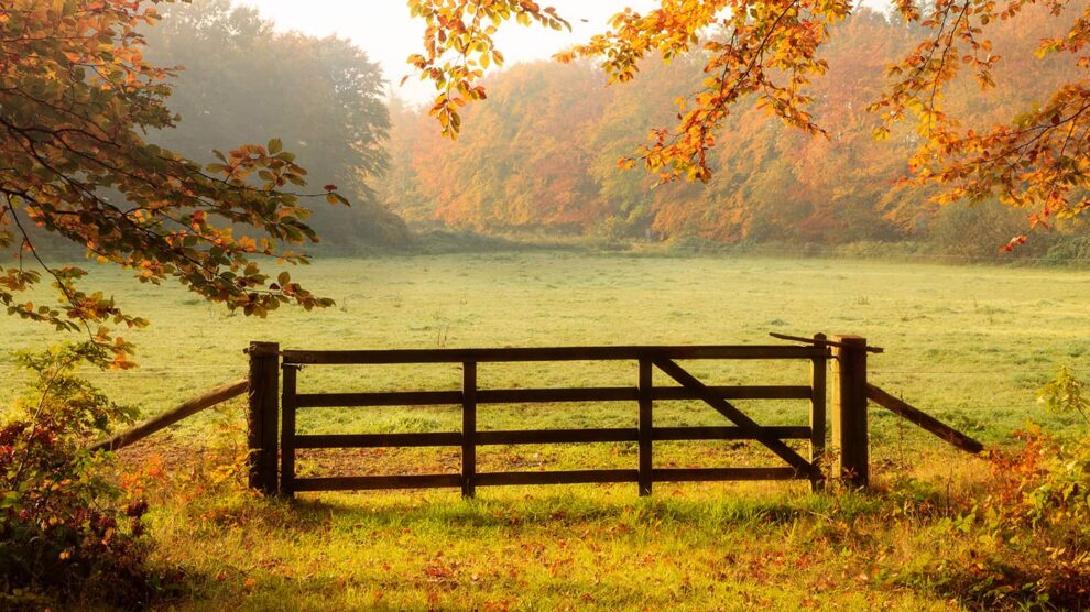 Handling Sellers Who Want to Overprice Their Land