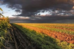 Selling Farmland or a Ranch: IRC Section 121 and Section 1031