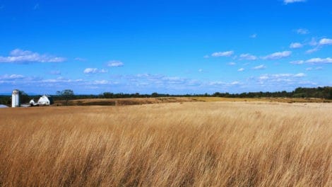 Selling Farmland Tax Consequences