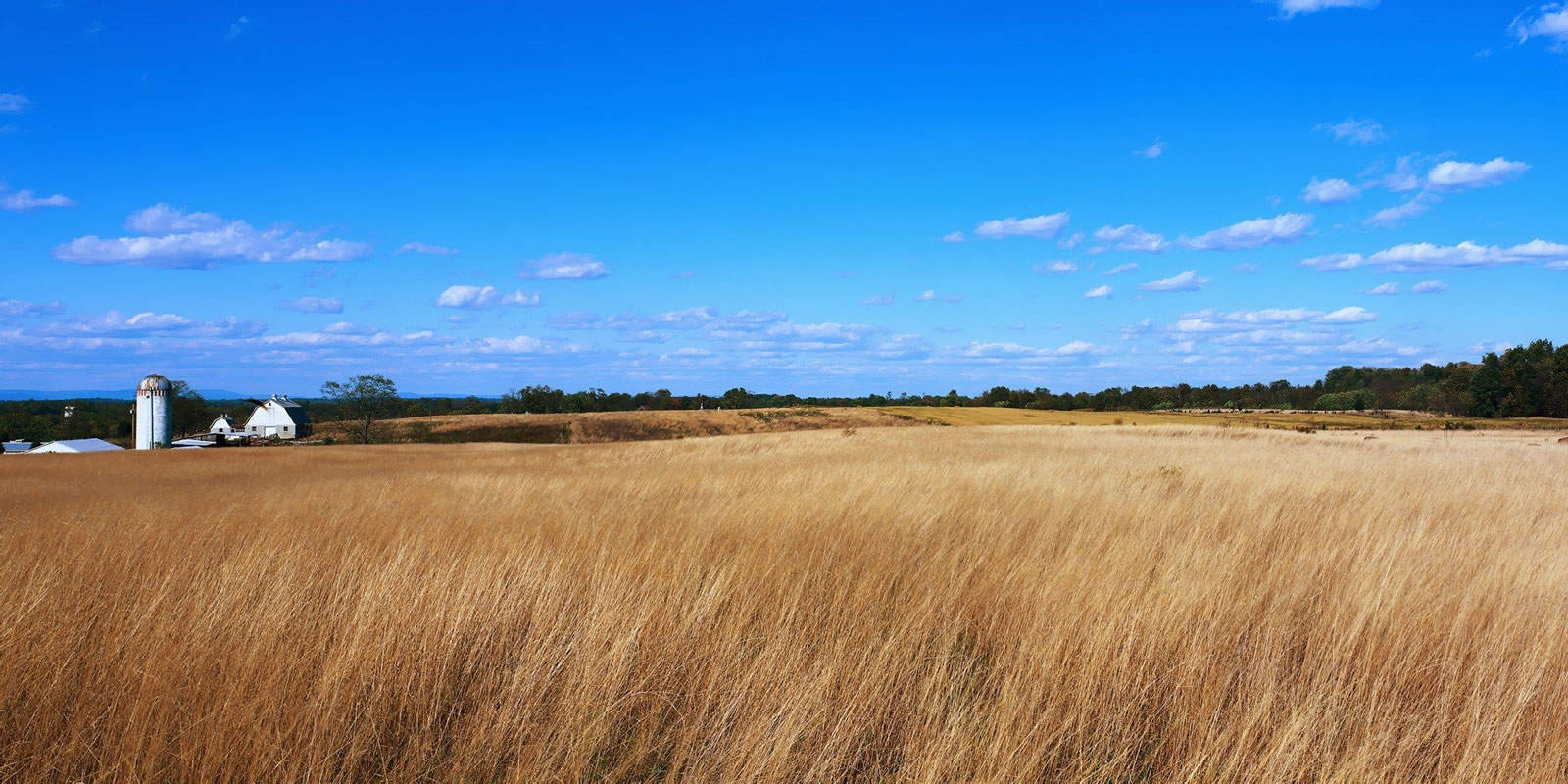 i want to sell my agricultural land