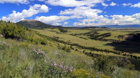 Seven Must-Read Books on Land, Ranches, and the History of the American West