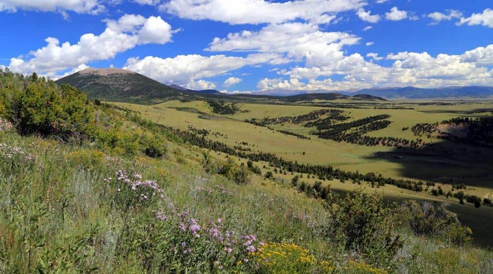 Seven Must-Read Books on Land, Ranches, and the History of the American West