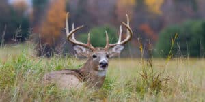 Sharing a Hunting Lease and Gear: 4 Tips for Best Results