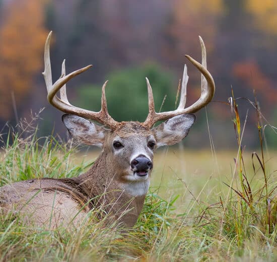 Sharing a Hunting Lease and Gear: 4 Tips for Best Results