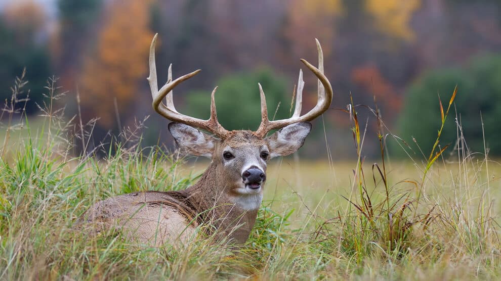 Sharing a Hunting Lease and Gear: 4 Tips for Best Results