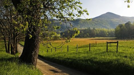 Small Acreage Farms Present Big Opportunity