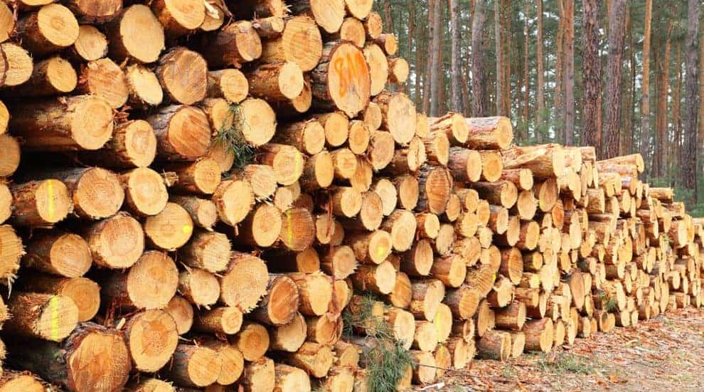 Softwood Lumber in North America and Timber in the Pacific Northwest