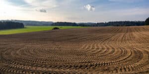 Soil Science: Understanding Its Composition and Significance