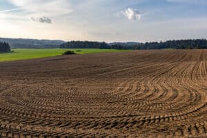 Soil Science: Understanding Its Composition and Significance