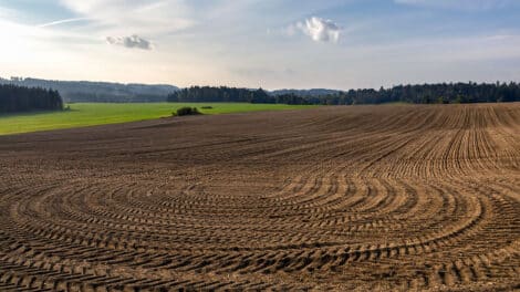 Soil Science: Understanding Its Composition and Significance