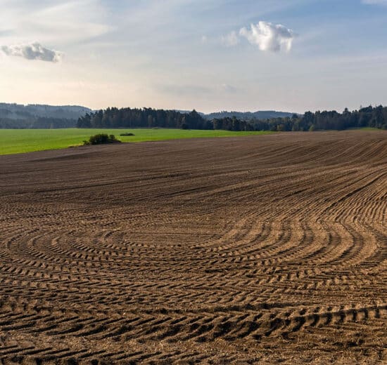 Soil Science: Understanding Its Composition and Significance