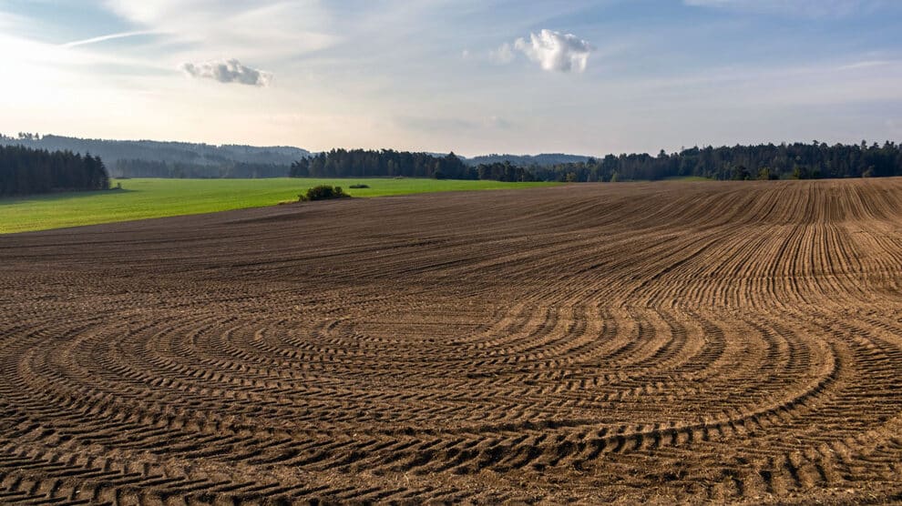 Soil Science: Understanding Its Composition and Significance
