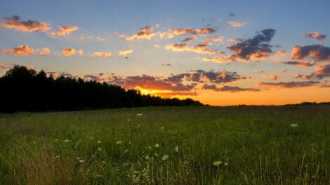 Starlink: Promising Internet Solution for Rural Land Buyers