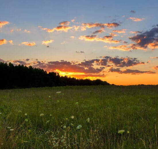 Starlink: Promising Internet Solution for Rural Land Buyers