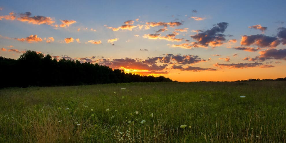 Starlink: Promising Internet Solution for Rural Land Buyers