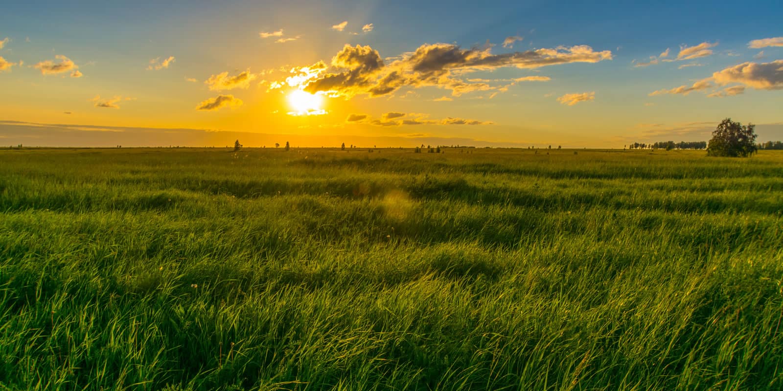 Stocks vs. Land Which is the Better Investment? LANDTHINK