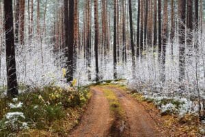 Implementing a Strategy to Gain Access to My Land