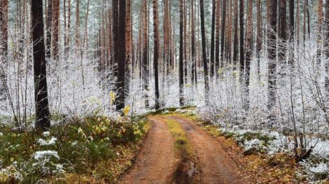 Implementing a Strategy to Gain Access to My Land