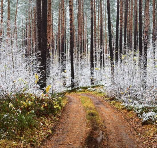 Implementing a Strategy to Gain Access to My Land