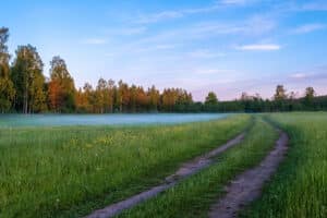 The Hidden Cost of Isolation: What Every Buyer Must Know About Off-Grid Land Access