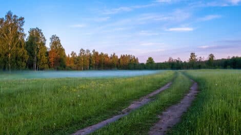 The Hidden Cost of Isolation: What Every Buyer Must Know About Off-Grid Land Access