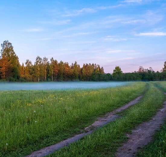 The Hidden Cost of Isolation: What Every Buyer Must Know About Off-Grid Land Access