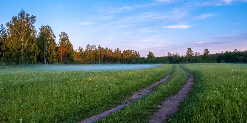 The Hidden Cost of Isolation: What Every Buyer Must Know About Off-Grid Land Access