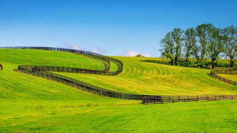 Things to Consider When Purchasing Equine Property