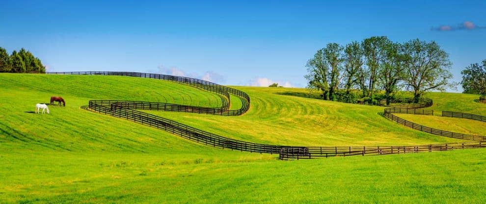 Things to Consider When Purchasing Equine Property