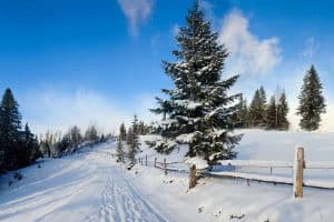 Things to Think About When You Are Looking for Property in the Winter