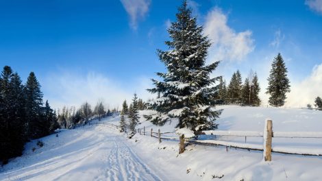 Things to Think About When You Are Looking for Property in the Winter