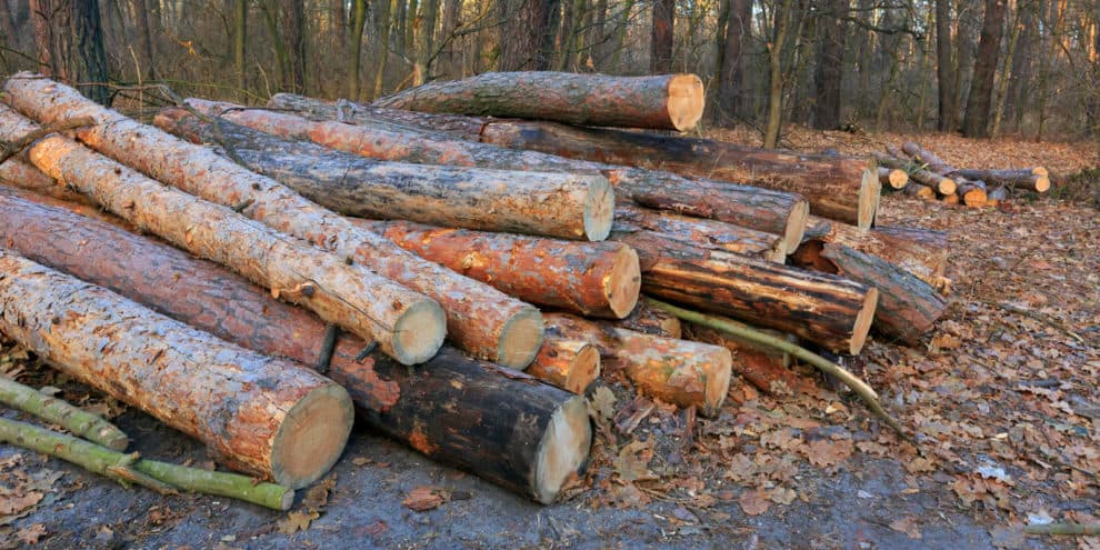 U.S. Timber Price Forecasts: Framing the Outlook for 2013