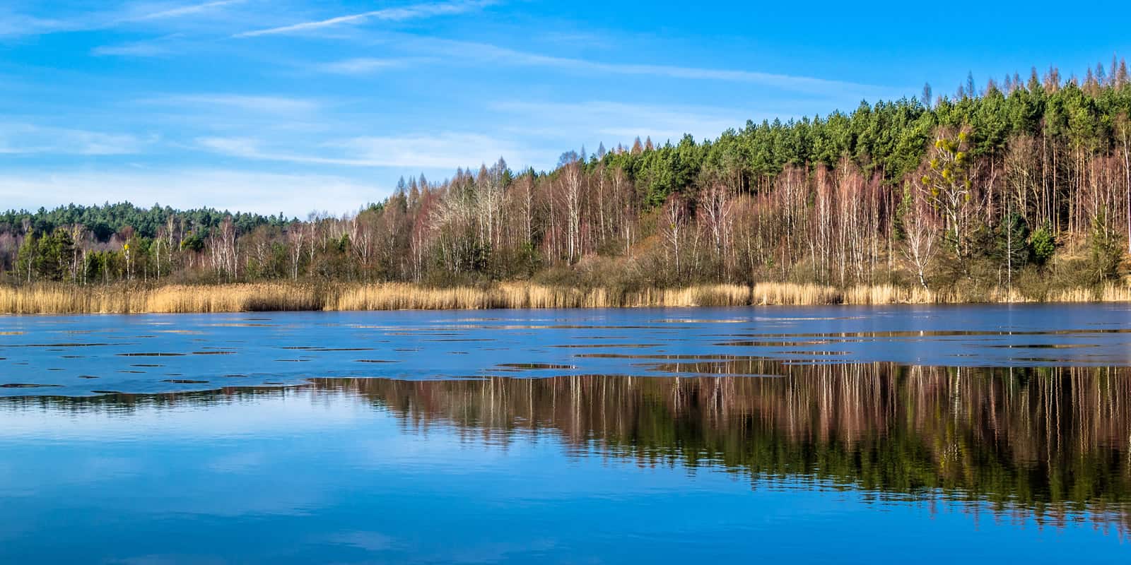 Timber REIT Returns and Timberland Deal Flow LANDTHINK