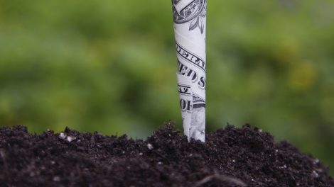 Timberland Investments and the Value of Dirt