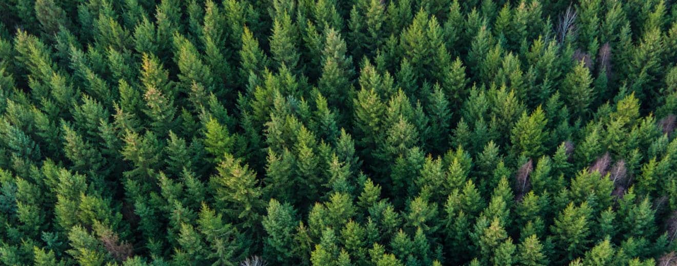 Timberland Ownership and Management in North America: 2017 Update