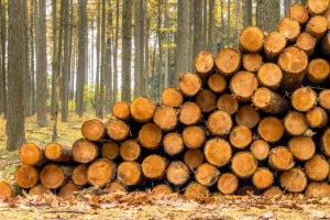 Timberland Ownership and Wood Supply Agreements