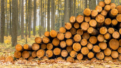 Timberland Ownership and Wood Supply Agreements