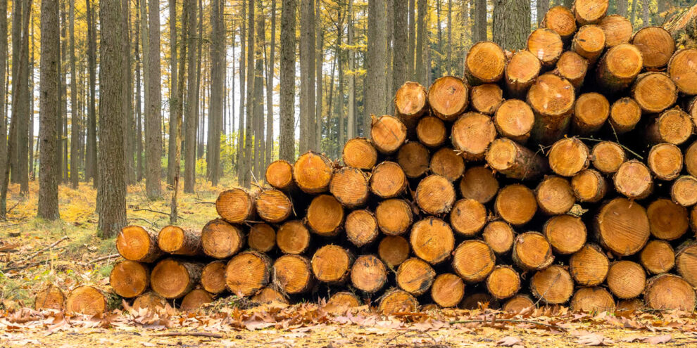 Timberland Ownership and Wood Supply Agreements