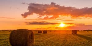 Key Tips for Buying Land in Foreclosure