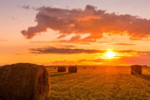 Key Tips for Buying Land in Foreclosure