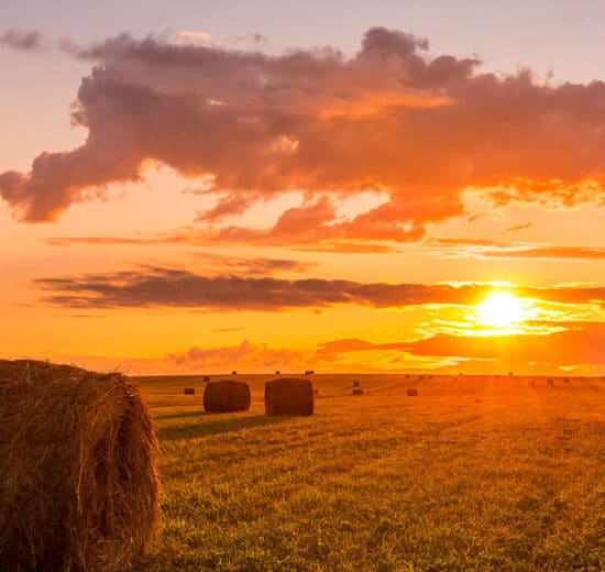 Key Tips for Buying Land in Foreclosure