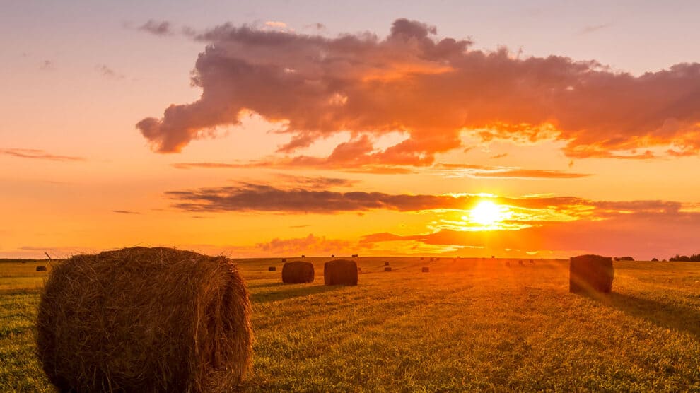 Key Tips for Buying Land in Foreclosure