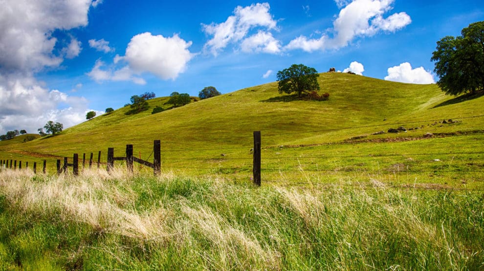 Tips for Farm and Rural Property Sellers